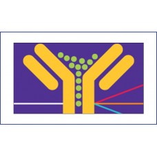 Flow Cytometry Antibodies