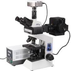 Fluorescent Microscopes