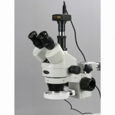 Stereo Microscope