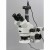 Stereo Microscope