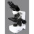 Binocular Microscope