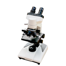 Binocular Microscope