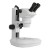 Binocular Microscope