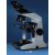 Lx200 LED Binocular Microscope