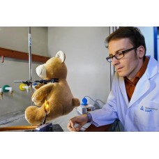 Toy Testing Services