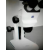 Stereo Microscope