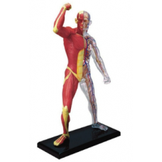 Biology Medical Lab Equipments