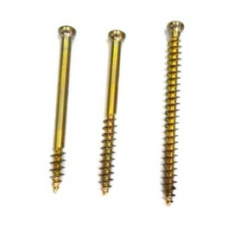 Cannulated Screws