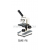 Biological Microscope SME-F6