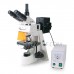 Fluorescence Microscope XYL-146YA Fluorescence Microscope XYL-146YA