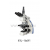 Fluorescence Microscope XYL-166Y1