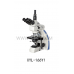 Fluorescence Microscope XYL-166Y1