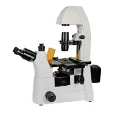 Fluorescence Microscope XYL-412Y