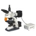 Fluorescence Microscope XYL-606