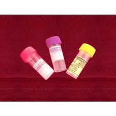 Blood Collection Vial