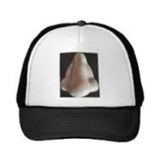 Medical Nose Cap
