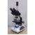 Trinocular Microscope With Camera