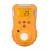 Gas Detectors