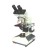 Binocular Microscope