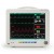 Five Para Monitor