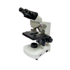 Binocular Microscope