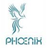 Phoenix Medical Technologies & Imports