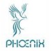 Phoenix Medical Technologies & Imports