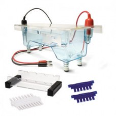 ELECTROPHORESIS APPARATUS