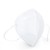 N95 Respirator Mask