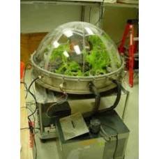 Bod With Humidity-plant Growth Bod With Humidity-plant Growth