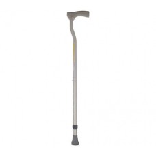 Walking Stick