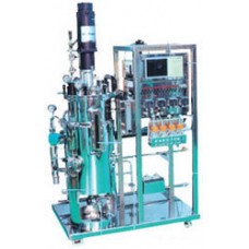 Production Scale Fermentors