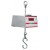 Hanging Scale