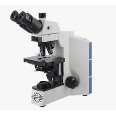 Trinocular Microscope