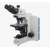 Trinocular Microscope