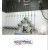 Gas Pipeline Installation Services