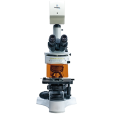 Fluorescence Microscope