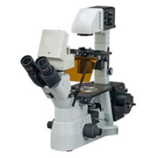 Fluorescence Microscope