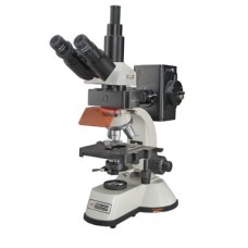 Fluorescence Microscopes