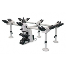 MULTI HEAD OBSERVATION