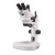Zoom Stereo Microscope