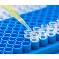 Micropipette Tips RNA/ DNA Free