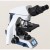 Upright Biological Microscope