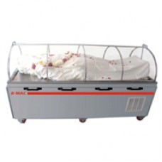 PORTABLE SINGLE BODY MORTUARY CHAMBER 