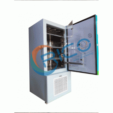 DEEP FREEZER