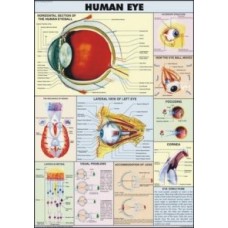 EYE
