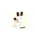 Stereo Microscope
