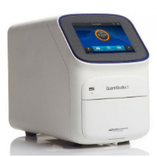 Real Time PCR QuantStudio 3