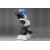 Binocular Microscope