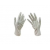 Surgical Gloves (White)